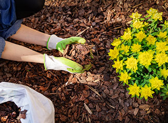 Mulch