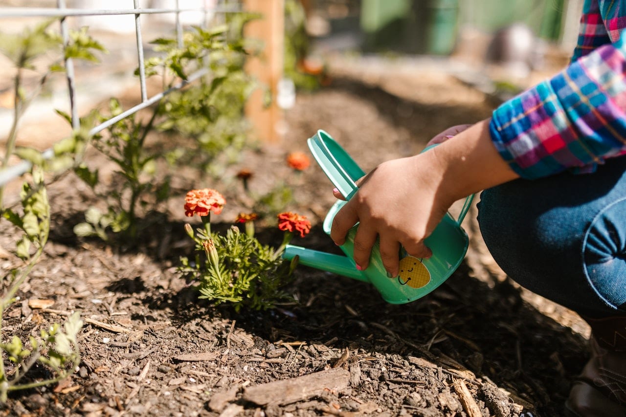 garden mulch