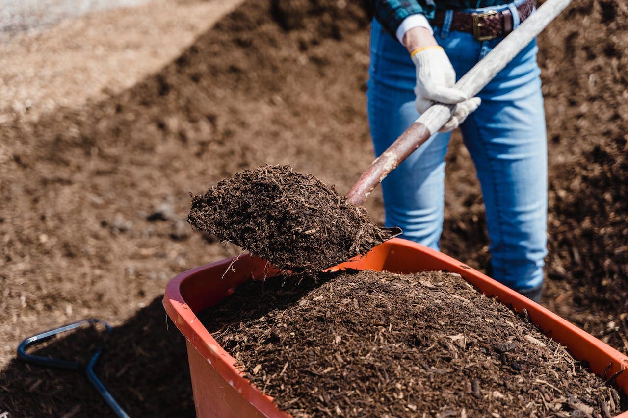 Mushroom compost