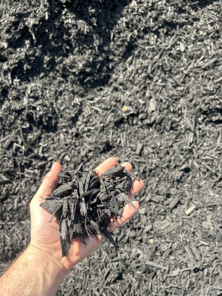 Black Mulch 2