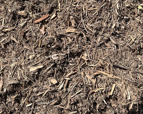 Moisture Mulch