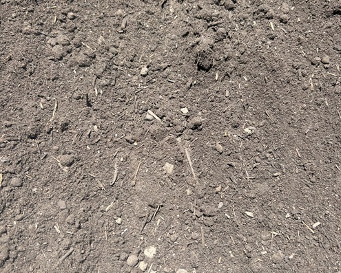 Garden Soil