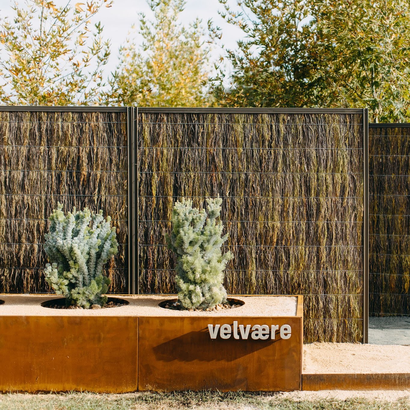 Planter Boxes